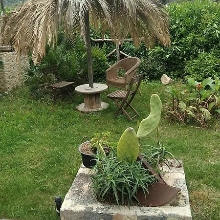 Bruno * Pisticci