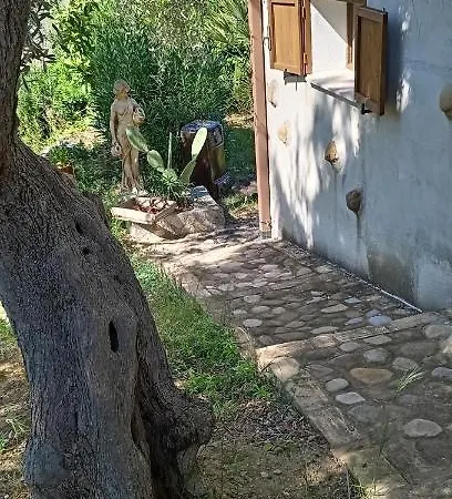 Bruno * Pisticci